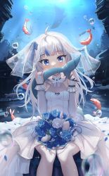 Rule 34 | 1girl, absurdres, ahoge, blue eyes, blue flower, blue hair, blunt bangs, blush, covering own mouth, dress, female focus, fins, fish, fish tail, flower, gawr gura, grey hair, hair ornament, highres, hirotaka0125, holding tail, hololive, hololive english, holomyth, jewelry, long hair, looking at viewer, multicolored hair, ocean, pantyhose, ring, shark girl, shark tail, shrimp, sidelocks, tail, two-tone hair, underwater, very long hair, virtual youtuber, wedding band, wedding dress, whale, white dress, white pantyhose