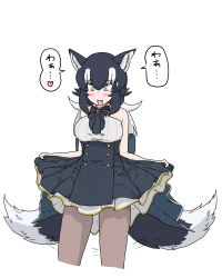 Rule 34 | 1girl, absurdres, animal ears, artist request, bare shoulders, black hair, blue eyes, blush, breasts, fangs, grey wolf (kemono friends), heart, heterochromia, highres, kemono friends, large breasts, looking down, multicolored hair, open mouth, simple background, solo, speech bubble, tail, tail wagging, translation request, two-tone hair, white background, white hair, wolf ears, wolf girl, wolf tail, yellow eyes