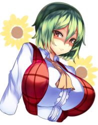 Rule 34 | 1girl, absurdres, arms at sides, ascot, breasts, child&#039;s drawing, closed mouth, collared shirt, commentary request, expressionless, eyes visible through hair, floral background, green hair, hair between eyes, highres, huge breasts, impossible clothes, impossible shirt, kazami yuuka, lips, long sleeves, looking at viewer, plaid, plaid vest, red eyes, red vest, shaded face, shiny clothes, shirt, short hair, solo, tiamat (momokuri mannen), touhou, upper body, vest, white background, white shirt, yellow ascot