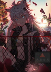 Rule 34 | 1girl, absurdres, animal ear fluff, animal ears, arknights, bandeau, black jacket, black nails, black shorts, blue eyes, chain-link fence, commentary request, fence, grin, hair between eyes, hair ornament, hairclip, hand up, head tilt, high collar, highres, jacket, lappland (arknights), long hair, looking at viewer, midriff, nail polish, open clothes, open jacket, scar, scar across eye, scar on face, short shorts, shorts, silver hair, smile, solo, strapless, syouko jiaozijun, translation request, tube top, wolf ears