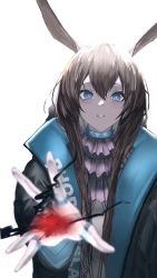 Rule 34 | 1girl, amiya (arknights), animal ears, arknights, ascot, backlighting, black jacket, blue ascot, blue eyes, brown hair, clothes writing, hair between eyes, hand up, highres, jacket, jewelry, long hair, looking at viewer, multiple rings, okayannosuke, open clothes, open jacket, originium arts (arknights), parted lips, rabbit ears, ring, shirt, sidelocks, solo, straight-on, thumb ring, upper body, white background, white shirt