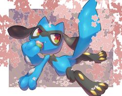 Rule 34 | closed mouth, commentary request, creatures (company), fang, fang out, game freak, gen 4 pokemon, highres, holding, looking back, multicolored eyes, nintendo, nullma, pokemon, pokemon (creature), riolu, shiny skin, smile, solo, toes