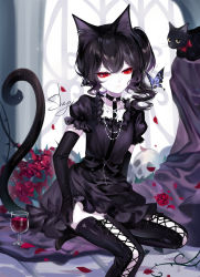 Rule 34 | 1girl, alcohol, animal ears, artist name, black cat, black choker, black dress, black gloves, black hair, black thighhighs, bug, butterfly, cat, cat ears, cat girl, choker, cup, dress, drinking glass, elbow gloves, gloves, highres, insect, jewelry, medium hair, necklace, original, petals, puffy short sleeves, puffy sleeves, red eyes, sheya, short sleeves, signature, sitting, solo, thighhighs, wine, wine glass