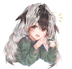 1girl 414_(hncx3355) alternate_costume arknights black_hair brown_eyes commentary_request cropped_torso feather_hair green_sweater grey_hair highres long_hair long_sleeves looking_at_viewer multicolored_hair open_mouth simple_background snowsant_(arknights) solo sweater two-tone_hair upper_body white_background