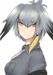 Rule 34 | 10s, 1girl, bird wings, black hair, breast pocket, closed mouth, collared shirt, feathered wings, from side, greenopi, grey hair, grey necktie, grey shirt, head wings, highres, kemono friends, long hair, looking at viewer, looking to the side, low ponytail, multicolored hair, necktie, orange hair, pocket, shirt, shoebill (kemono friends), short sleeves, side ponytail, simple background, solo, white background, wings, yellow eyes