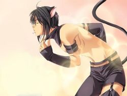 Rule 34 | animal ears, cat boy, cat ears, cat tail, demon, male focus, tail, third-party edit