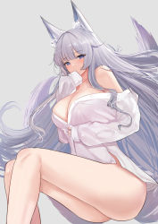 Rule 34 | 1girl, animal ear fluff, animal ears, azur lane, bare legs, bare shoulders, blue eyes, blush, breasts, cleavage, covering own mouth, dress shirt, feet out of frame, floating hair, fox ears, fox tail, grey background, hand up, invisible chair, large breasts, long hair, long sleeves, naked shirt, off shoulder, schreibe shura, shinano (azur lane), shirt, sidelocks, simple background, sitting, sleeves past fingers, sleeves past wrists, solo, tail, thighs, very long hair, white hair, white shirt