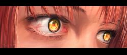 Rule 34 | 1girl, absurdres, chainsaw man, close-up, crain1art, eye focus, highres, letterboxed, looking to the side, makima (chainsaw man), red hair, ringed eyes, solo, yellow eyes
