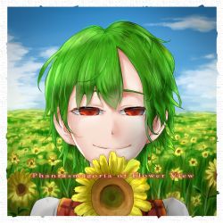 Rule 34 | 1girl, copyright name, day, framed, garden of the sun, green hair, half-closed eyes, highres, horizon, kazami yuuka, light smile, looking at viewer, plaid, plaid vest, red eyes, red vest, shirt, short hair, smile, solo, swept bangs, touhou, upper body, vest, wavy hair, white shirt