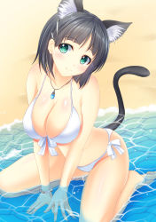 Rule 34 | 10s, 1girl, animal ears, arm support, bad id, bad pixiv id, bikini, black hair, bracelet, breasts, cat ears, cat tail, cleavage, front-tie top, green eyes, highres, jewelry, kirigaya suguha, large breasts, looking at viewer, partially submerged, pasdar, pendant, shiny skin, short hair, sitting, smile, solo, swimsuit, sword art online, tail, wariza, water, white bikini
