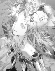 Rule 34 | 10s, 1girl, beatless, flower, from above, greyscale, hair flower, hair ornament, halftone, long hair, md5 mismatch, monochrome, redjuice, resolution mismatch, snowdrop (beatless), solo, source larger