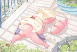Rule 34 | :d, cat, commentary request, creatures (company), day, closed eyes, fence, flower, full body, game freak, gen 3 pokemon, happi xfyg, lily pad, lying, nintendo, no humans, on back, open mouth, outdoors, pink flower, pokemon, pokemon (creature), skitty, smile, solo, tongue