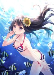Rule 34 | 1girl, air bubble, angelfish, animal, bare arms, bikini, black hair, blue eyes, blush, bow, bracelet, breasts, bubble, cleavage, cowboy shot, fish, floating hair, flower, freediving, from side, fukahire (ruinon), hair flower, hair ornament, halterneck, jewelry, long hair, looking at viewer, medium breasts, nail polish, necklace, ocean, open mouth, original, side-tie bikini bottom, solo, striped bikini, striped clothes, submerged, sunflower, swimming, swimsuit, tropical fish, underwater, water