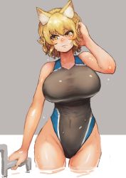 Rule 34 | 1girl, absurdres, animal ears, black one-piece swimsuit, blonde hair, blush, breasts, chanta (ayatakaoisii), closed mouth, competition swimsuit, cowboy shot, fox ears, grey background, hand in own hair, hand up, head tilt, highleg, highleg swimsuit, highres, huge breasts, one-piece swimsuit, slit pupils, solo, standing, swimsuit, touhou, wading, wet, yakumo ran, yellow eyes
