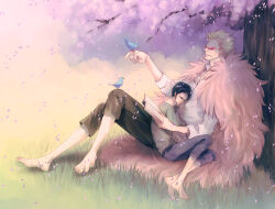 Rule 34 | 2boys, barefoot, bird, black hair, blonde hair, book, cheese neko3, cherry blossoms, donquixote doflamingo, earrings, facial hair, feather coat, feet, goatee, height difference, holding, holding book, jewelry, male focus, multiple boys, one piece, outdoors, pants, shirt, short hair, sitting, size difference, sunglasses, trafalgar law, white shirt, yaoi