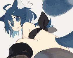 Rule 34 | 1girl, ahoge, animal ears, ass, bare shoulders, belt bra, black bra, blue eyes, blue hair, blush, boots, bottomless, bra, butt crack, commentary request, flying sweatdrops, foreshortening, from below, grey background, looking at viewer, original, pappii (paprika shikiso), paprika shikiso, parted lips, short hair, simple background, sitting, solo, tail, underwear