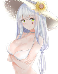 Rule 34 | 1girl, absurdres, alternate costume, bare shoulders, bikini, blush, breasts, cleavage, closed mouth, collarbone, crossed arms, facial mark, flower, girls&#039; frontline, green eyes, hair ornament, hat, highres, hk416 (girls&#039; frontline), long hair, looking at viewer, low-tied long hair, medium breasts, o-ring, o-ring top, ru zhai, silver hair, simple background, smile, solo, sun hat, sunflower, swimsuit, teardrop, very long hair, white background, white bikini