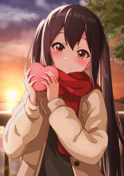 Rule 34 | 1girl, absurdres, black hair, blush, box, box of chocolates, brown coat, brown eyes, casual, chinese commentary, closed mouth, coat, commentary request, hair between eyes, heart-shaped box, highres, holding, holding box, k-on!, long hair, long sleeves, looking at viewer, nakano azusa, oscar (a7069721), outdoors, red scarf, scarf, sidelocks, smile, solo, sun, sunset, twintails, valentine