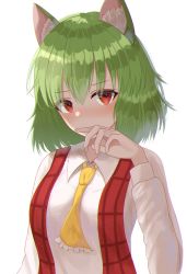 Rule 34 | 1girl, absurdres, anima miko, animal ears, ascot, blush, cat ears, collared shirt, covered mouth, green hair, highres, kazami yuuka, long sleeves, looking at viewer, plaid, plaid vest, red eyes, red vest, shirt, short hair, simple background, solo, touhou, vest, white background, white shirt, yellow ascot