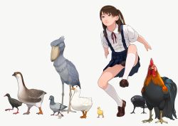 Rule 34 | 1girl, animal, animal request, bird, black panties, blue eyes, brown hair, chicken, chinese zodiac, commentary, duck, go robots, kneehighs, light smile, loafers, long hair, odd one out, panties, pantyshot, pet play, pigeon, rooster, school uniform, shoes, side ponytail, simple background, skirt, socks, solo, sparrow, standing, suspender skirt, suspenders, underwear, upskirt, white background, year of the rooster