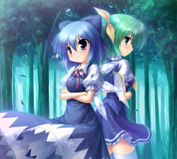 Rule 34 | &gt;:), 2girls, back-to-back, blue eyes, blue hair, bow, cirno, crossed arms, daiyousei, dress, forest, green eyes, green hair, hair bow, light rays, multiple girls, nature, short hair, side ponytail, sunbeam, sunlight, takeponi, thighhighs, touhou, v-shaped eyebrows, white thighhighs, wings, zettai ryouiki