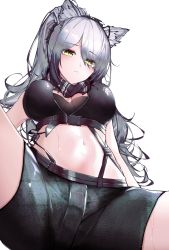 Rule 34 | 1girl, absurdres, animal ears, arknights, bad id, bad pixiv id, black shorts, breasts, closed mouth, from below, green eyes, highres, large breasts, leria v, long hair, looking at viewer, midriff, navel, schwarz (arknights), short shorts, shorts, silver hair, simple background, solo, spread legs, white background