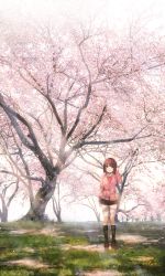 Rule 34 | 1girl, absurdres, black skirt, black socks, blush, brown eyes, brown footwear, brown hair, cardigan, cherry blossoms, collared shirt, commentary, day, dress shirt, flower, grass, hand up, head tilt, highres, hoshimiya aki, huge filesize, kneehighs, loafers, looking at viewer, original, outdoors, parted lips, petals, pink cardigan, pink flower, pleated skirt, revision, scenery, shirt, shoes, skirt, smile, socks, solo, spring (season), standing, sunlight, tree, white shirt, wide shot