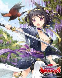 Rule 34 | bibyo, bird, black hair, bow, breasts, choker, cleavage, company name, copyright name, day, fang, flower, garter straps, hair flower, hair ornament, hair ribbon, hairband, hawk, holding, holding sword, holding weapon, japanese clothes, katana, logo, looking at viewer, medium breasts, official art, open mouth, outdoors, purple bow, purple choker, purple eyes, ribbon, sengoku bushouki muramasa, short hair, solo, standing, sword, thighhighs, tree, watermark, weapon, white thighhighs, wide sleeves, wisteria, yellow hairband, yellow ribbon