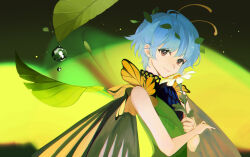 Rule 34 | 1girl, antennae, blue hair, butterfly wings, closed mouth, dew drop, dress, eternity larva, flower, green dress, highres, holding, holding flower, insect wings, its8b, leaf, leaf on head, looking at viewer, red eyes, short hair, sleeveless, sleeveless dress, smile, solo, touhou, upper body, water drop, white flower, wings
