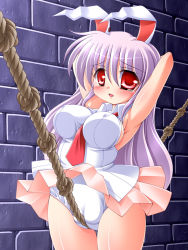 Rule 34 | 1girl, animal ears, bad id, bad pixiv id, bdsm, between breasts, blush, bondage, bound, breasts, rabbit ears, cameltoe, cleft of venus, covered erect nipples, crotch rope, crotch tie rope, cruelty to animals, fat mons, female focus, knotted rope, large breasts, mito sagano, panties, purple hair, red eyes, reisen udongein inaba, rope, rope walking, sagano mito, skirt, solo, tears, touhou, underwear