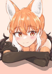 Rule 34 | 1girl, :3, animal ears, bare shoulders, blush, bow, bowtie, brown gloves, brown hair, crossed arms, elbow gloves, extra ears, fur collar, gloves, hair between eyes, highres, kemono friends, long hair, maned wolf (kemono friends), multicolored clothes, multicolored gloves, multicolored hair, orange bow, orange bowtie, orange eyes, orange fur, orange gloves, orange hair, sidelocks, sleeveless, smile, solo, tsuppushi, twintails, white hair, wolf ears, wolf girl
