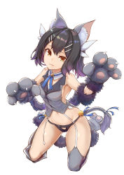 Rule 34 | 1girl, absurdres, animal ears, animal hands, bare shoulders, bell, black hair, black panties, blue ribbon, blush, breasts, brown eyes, cat ears, cat paws, cat tail, crop top, detached collar, fate/kaleid liner prisma illya, fate (series), feather hair ornament, feathers, fur trim, gloves, grey gloves, grey thighhighs, hair ornament, hairclip, highres, hip focus, jingle bell, kaleidostick, kneeling, kuen (kuennn12), long hair, looking at viewer, magical sapphire, miyu edelfelt, navel, neck ribbon, open mouth, panties, paw gloves, paw shoes, ribbon, shoes, simple background, small breasts, solo, tail, thighhighs, thighs, twintails, underwear, wand, white background