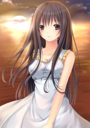 Rule 34 | 1girl, bad id, bad pixiv id, bare arms, bare shoulders, black hair, blush, collarbone, dress, highres, horizon, long hair, looking at viewer, ocean, original, outdoors, purple eyes, sky, sleeveless, sleeveless dress, smile, solo, sundress, sunset, toshi (1-147), water