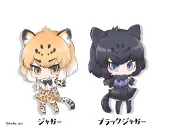 Rule 34 | &gt;:(, &gt;:/, 10s, 2girls, :/, animal ears, arm at side, black hair, black jaguar (kemono friends), black ribbon, blue eyes, cat ears, cat tail, character name, chibi, collar, commentary request, eyebrows, eyelashes, frilled shirt, frills, frown, full body, fur collar, gradient hair, hand up, jaguar (kemono friends), jaguar ears, jaguar print, jaguar tail, kemono friends, lavender shirt, looking at viewer, multicolored hair, multiple girls, neck ribbon, orange eyes, orange hair, paw pose, ribbon, shadow, shirt, short hair, short sleeves, simple background, skirt, smile, standing, tail, tatsuno newo, thighhighs, tsurime, twitter username, two-tone hair, v-shaped eyebrows, white background, white hair, white shirt, zettai ryouiki