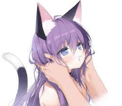 Rule 34 | 1boy, 1girl, animal ear fluff, animal ears, black choker, blue eyes, byulzzi, cat ears, cat girl, cat tail, choker, commentary request, fang, hair between eyes, hands up, long hair, looking away, nude, original, out of frame, parted lips, purple hair, signature, simple background, solo focus, tail, upper body, white background