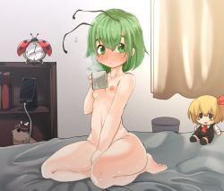 Rule 34 | 1girl, alarm clock, antennae, between legs, blush, book, breasts, bug, cellphone, character doll, charging device, clock, commentary request, completely nude, cup, curtains, full body, green eyes, green hair, hair between eyes, hand between legs, holding, holding cup, indoors, insect, ladybug, looking at viewer, mug, mystia lorelei, mystia lorelei (bird), nipples, notice lines, nude, on bed, phone, rumia, seiza, shelf, short hair, sitting, small breasts, smartphone, solo, thighs, touhou, trash can, unimamo, wriggle nightbug