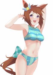 Rule 34 | 1girl, alternate costume, animal ears, armpits, arms up, bikini, biko pegasus (umamusume), blue eyes, blush, breasts, commentary request, cowboy shot, ear ornament, highres, horse ears, horse girl, horse tail, medium breasts, miya star saa, navel, open mouth, short hair, simple background, smile, solo, striped bikini, striped clothes, swimsuit, tail, teeth, umamusume, upper teeth only, white background