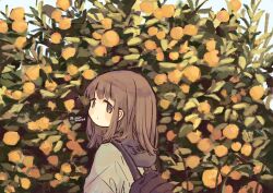 Rule 34 | 1girl, backpack, bag, blush, brown eyes, brown hair, bush, closed mouth, day, dot mouth, expressionless, from side, green jacket, highres, hood, hood down, hooded jacket, jacket, long hair, looking at viewer, orange tree, original, outdoors, plant, sasaxxxx06, solo, straight hair, twitter username, upper body