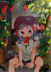 Rule 34 | 1girl, bad id, bad pixiv id, black shorts, cat, food, food in mouth, grey shirt, highres, hot, kashu (hizake), leaf, lens flare, li&#039;l judd (splatoon), looking at viewer, medium hair, monster girl, mouth hold, nintendo, octoling, octoling girl, octoling player character, plant, pointy ears, popsicle, rainbow, red eyes, red hair, shade, shirt, short eyebrows, short sleeves, shorts, signature, sitting, splatoon (series), splatoon 2, splatoon 2: octo expansion, suction cups, summer, sunlight, sweat, tentacle hair, vines, watermelon bar, wooden floor