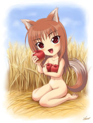 Rule 34 | 00s, 1girl, animal ears, apple, barefoot, brown hair, chibi, fang, food, fruit, holding, holding food, holding fruit, holo, kagehara hanzou, long hair, nature, nude, nudist, red eyes, solo, spice and wolf, tail, wheat, wolf ears, wolf tail