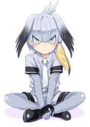 Rule 34 | &gt;:(, 10s, 1girl, black footwear, black gloves, blue eyes, bodystocking, boots, collar, collared shirt, commentary, crossed ankles, eyelashes, fingerless gloves, frown, full body, gloves, grey hair, grey shirt, hands on feet, head wings, hijiki (hijikini), indian style, kemono friends, looking at viewer, low ponytail, multicolored hair, necktie, orange hair, pocket, ponytail, sanpaku, shadow, shirt, shoebill (kemono friends), short sleeves, shorts, side ponytail, simple background, sitting, solo, tsurime, v-shaped eyebrows, white background, wings