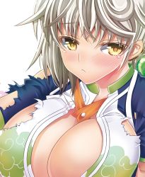Rule 34 | 10s, 1girl, :&lt;, braid, breasts, cleavage cutout, clothing cutout, cloud print, crow (crowatelier), detached sleeves, embarrassed, kantai collection, large breasts, looking at viewer, portrait, shirt, silver hair, single braid, solo, torn clothes, torn shirt, unryuu (kancolle), wavy hair, yellow eyes