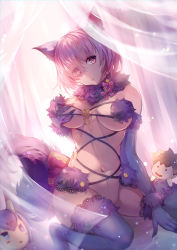 Rule 34 | 1girl, animal ears, asanogawa (tutufcc), bra, breasts, character doll, cleavage, elbow gloves, fate/grand order, fate (series), fujimaru ritsuka (male), fur trim, gloves, hair over one eye, head tilt, highres, large breasts, looking at viewer, mash kyrielight, mash kyrielight (dangerous beast), mashu kyrielite, navel, no panties, official alternate costume, purple bra, purple eyes, purple gloves, purple hair, purple thighhighs, revealing clothes, short hair, shuten douji (fate), sitting, solo, tail, thighhighs, underwear, wolf ears, wolf tail