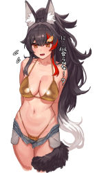 Rule 34 | 1girl, animal ear fluff, animal ears, arms behind back, bikini, black hair, breasts, brown eyes, cleavage, cowboy shot, flying sweatdrops, hair between eyes, hair ornament, hairclip, halterneck, highleg, highleg bikini, highres, hololive, large breasts, looking at viewer, micro shorts, multicolored hair, navel, ookami mio, open mouth, ponytail, red hair, shorts, simple background, solo, stomach, streaked hair, string bikini, swimsuit, tail, tail around own leg, tenchisouha, translation request, virtual youtuber, white background, white hair, wolf ears, wolf girl, wolf tail, yellow bikini