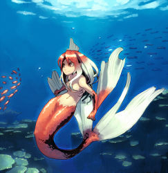 Rule 34 | 1girl, completely nude, fins, fish, gills, gradient hair, hair censor, hair over breasts, looking to the side, mermaid, monster girl, multicolored hair, nude, orange eyes, original, scales, shihou (g-o-s), smile, solo, underwater, water, webbed hands