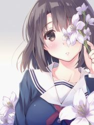 Rule 34 | 1girl, blush, bob cut, breasts, brown eyes, brown hair, commentary request, flower, gradient background, itoichi., katou megumi, looking at viewer, md5 mismatch, medium breasts, parted lips, resolution mismatch, saenai heroine no sodatekata, school uniform, short hair, solo, source larger, upper body