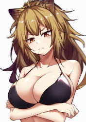 Rule 34 | 1girl, absurdres, animal ear fluff, animal ears, arknights, bare arms, bare shoulders, bikini, black bikini, blz buluozhang, breasts, brown eyes, brown hair, collarbone, commentary, crossed arms, head tilt, highres, large breasts, lion ears, long hair, looking at viewer, siege (arknights), simple background, solo, swimsuit, upper body, white background
