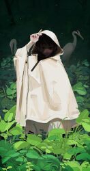 Rule 34 | 1boy, absurdres, bird, black hair, closed mouth, expressionless, half-closed eyes, hand up, highres, hood, hood up, looking at viewer, male focus, original, plant, polilla, raincoat, short hair, solo
