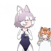 Rule 34 | 2girls, :3, = =, animal ear fluff, animal ears, animated, closed eyes, commentary, dog (mixed breed) (kemono friends), dog ears, grey hair, kemono friends, looping animation, multicolored hair, multiple girls, name tag, one-piece swimsuit, orange hair, pantyhose, paw pose, school swimsuit, shaking head, short hair, siberian tiger (kemono friends), simple background, swimsuit, taro (tontaro), tiger ears, towel, two-tone hair, video, water drop, white background, white hair