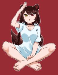 Rule 34 | 1girl, absurdres, animal ears, barefoot, breasts, brown hair, collar, dog ears, dog girl, dog tail, hair ornament, heterochromia, highres, indian style, inui toko, long hair, looking at viewer, nijisanji, red eyes, simple background, sitting, solo, tail, virtual youtuber, yellow eyes, yuzu gin (pika97)